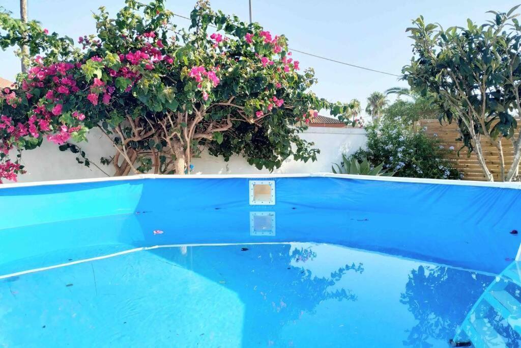 Apartamento Privado Con Jardin, Piscina Elevada Y Bbq Chiclana de la Frontera Kültér fotó